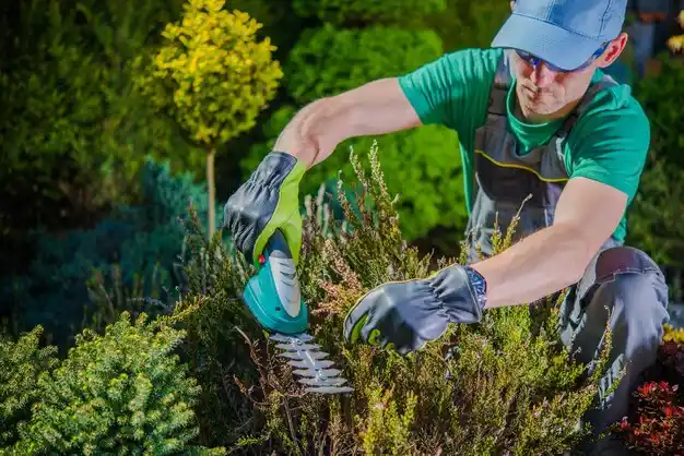 landscaping services Mack